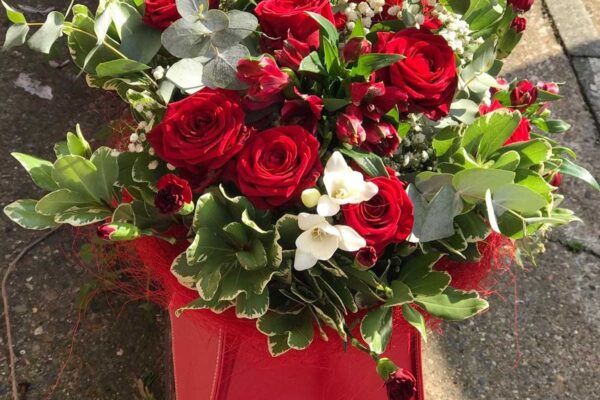 Red-Roses-07